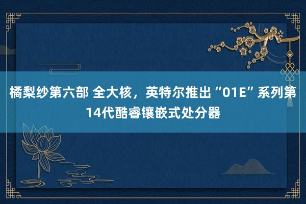 橘梨纱第六部 全大核，英特尔推出“01E”系列第14代酷睿镶嵌式处分器