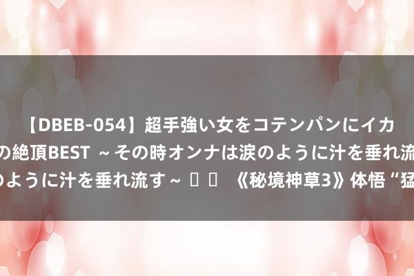 【DBEB-054】超手強い女をコテンパンにイカせまくる！危険な香りの絶頂BEST ～その時オンナは涙のように汁を垂れ流す～ 		 《秘境神草3》体悟“猛药柔情”