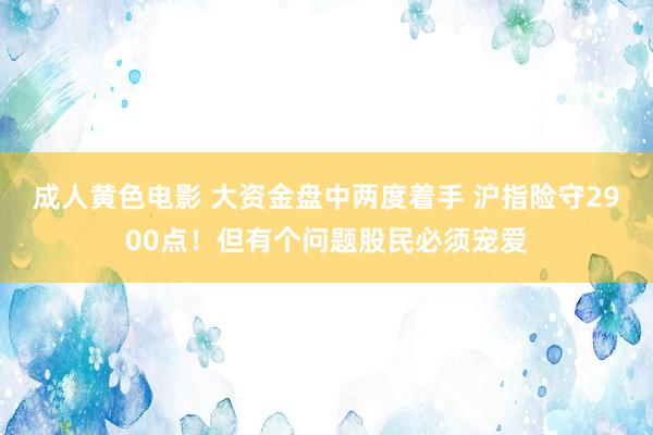 成人黄色电影 大资金盘中两度着手 沪指险守2900点！但有个问题股民必须宠爱