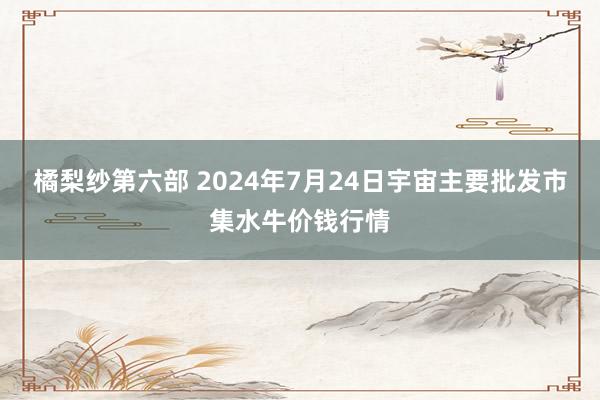 橘梨纱第六部 2024年7月24日宇宙主要批发市集水牛价钱行情