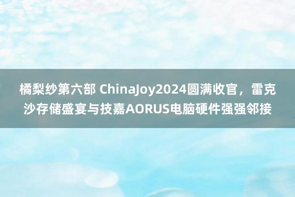 橘梨纱第六部 ChinaJoy2024圆满收官，雷克沙存储盛宴与技嘉AORUS电脑硬件强强邻接