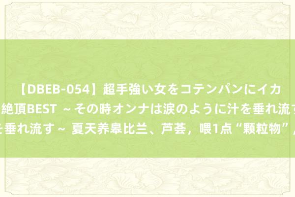 【DBEB-054】超手強い女をコテンパンにイカせまくる！危険な香りの絶頂BEST ～その時オンナは涙のように汁を垂れ流す～ 夏天养皋比兰、芦荟，喂1点“颗粒物”，“大白根”长满盆！