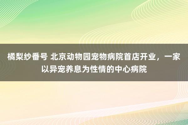 橘梨纱番号 北京动物园宠物病院首店开业，一家以异宠养息为性情的中心病院