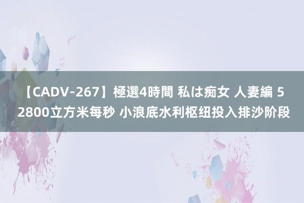 【CADV-267】極選4時間 私は痴女 人妻編 5 2800立方米每秒 小浪底水利枢纽投入排沙阶段