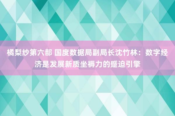 橘梨纱第六部 国度数据局副局长沈竹林：数字经济是发展新质坐褥力的蹙迫引擎