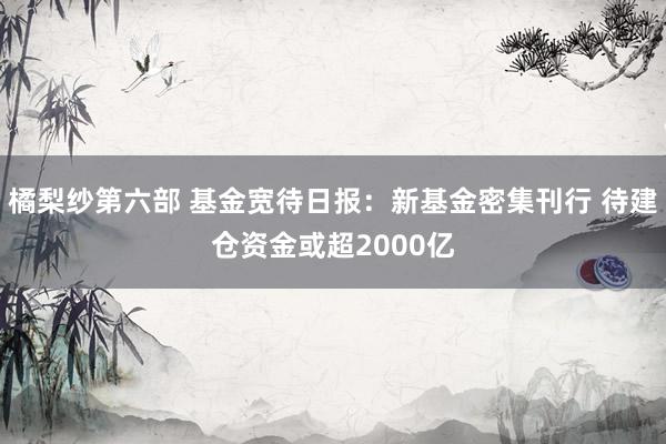 橘梨纱第六部 基金宽待日报：新基金密集刊行 待建仓资金或超2000亿