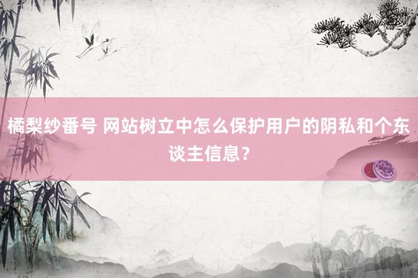 橘梨纱番号 网站树立中怎么保护用户的阴私和个东谈主信息？