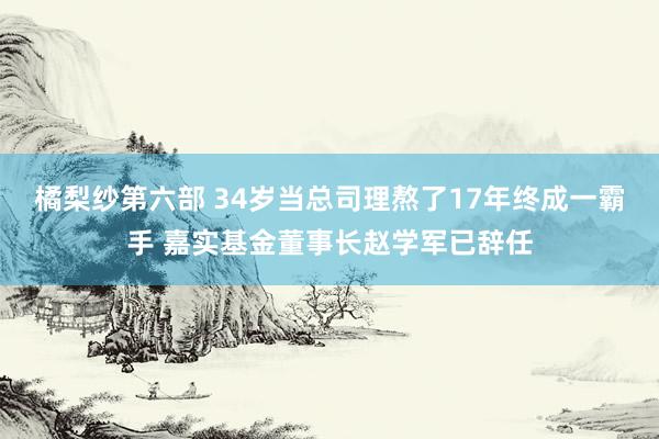 橘梨纱第六部 34岁当总司理熬了17年终成一霸手 嘉实基金董事长赵学军已辞任