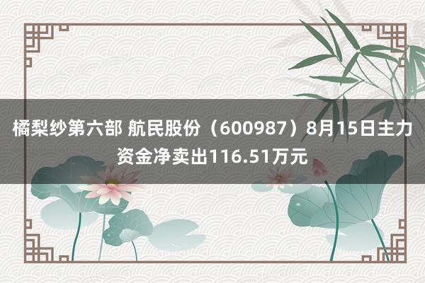 橘梨纱第六部 航民股份（600987）8月15日主力资金净卖出116.51万元