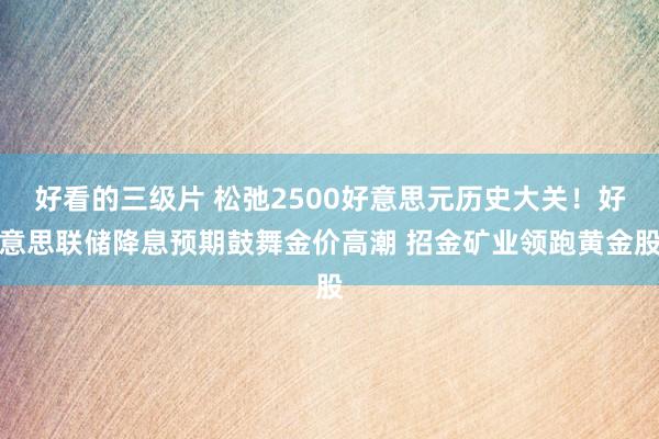 好看的三级片 松弛2500好意思元历史大关！好意思联储降息预期鼓舞金价高潮 招金矿业领跑黄金股