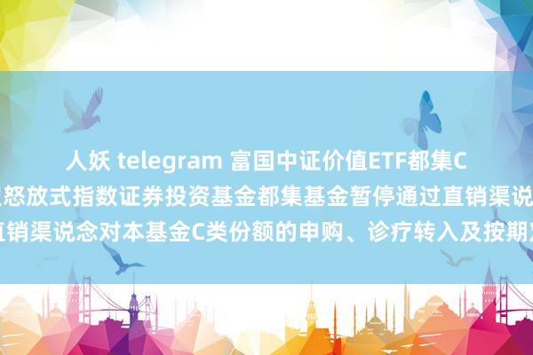 人妖 telegram 富国中证价值ETF都集C: 对于富国中证价值走动型怒放式指数证券投资基金都集基金暂停通过直销渠说念对本基金C类份额的申购、诊疗转入及按期定额投资业务的公告