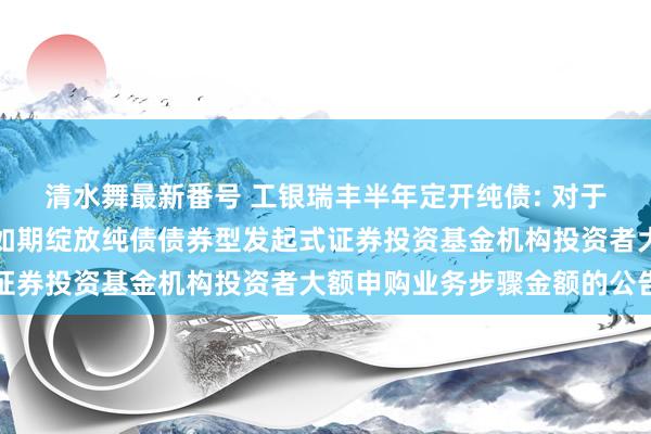 清水舞最新番号 工银瑞丰半年定开纯债: 对于相易工银瑞信瑞丰半年如期绽放纯债债券型发起式证券投资基金机构投资者大额申购业务步骤金额的公告