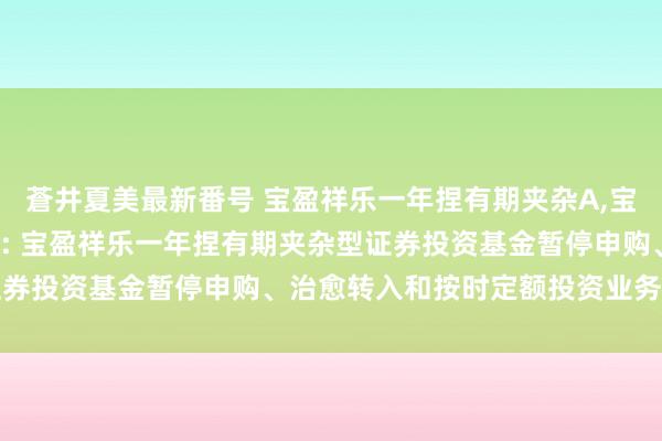 蒼井夏美最新番号 宝盈祥乐一年捏有期夹杂A，宝盈祥乐一年捏有期夹杂C: 宝盈祥乐一年捏有期夹杂型证券投资基金暂停申购、治愈转入和按时定额投资业务的公告