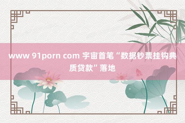 www 91porn com 宇宙首笔“数据钞票挂钩典质贷款”落地