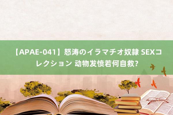 【APAE-041】怒涛のイラマチオ奴隷 SEXコレクション 动物发愤若何自救？