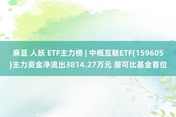 麻豆 人妖 ETF主力榜 | 中概互联ETF(159605)主力资金净流出3814.27万元 居可比基金首位