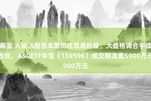 麻豆 人妖 A股基本面仍在筑底阶段，大盘格调合手续占优，A50ETF华宝（159596）成交额龙套5900万元