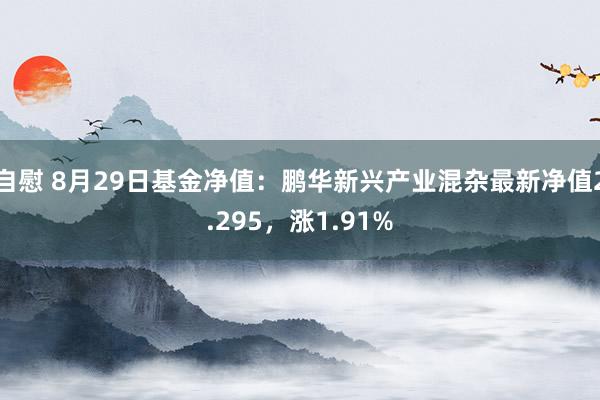 自慰 8月29日基金净值：鹏华新兴产业混杂最新净值2.295，涨1.91%