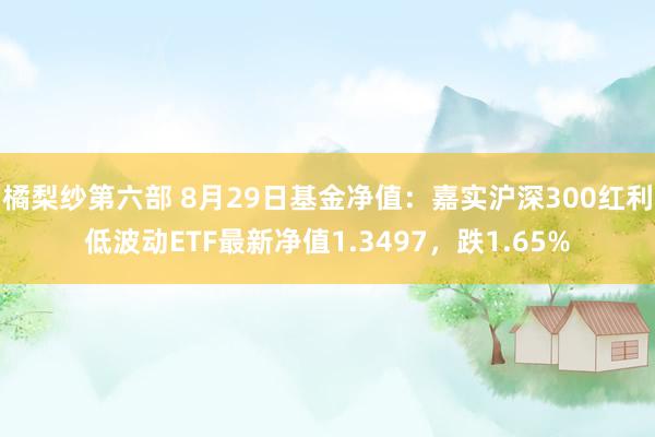 橘梨纱第六部 8月29日基金净值：嘉实沪深300红利低波动ETF最新净值1.3497，跌1.65%