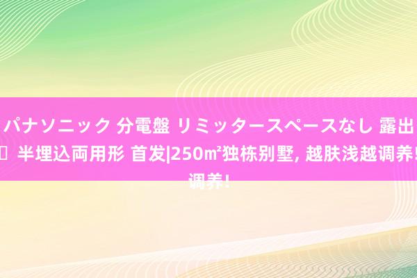 パナソニック 分電盤 リミッタースペースなし 露出・半埋込両用形 首发|250㎡独栋别墅， 越肤浅越调养!