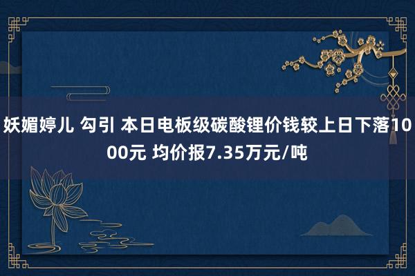 妖媚婷儿 勾引 本日电板级碳酸锂价钱较上日下落1000元 均价报7.35万元/吨