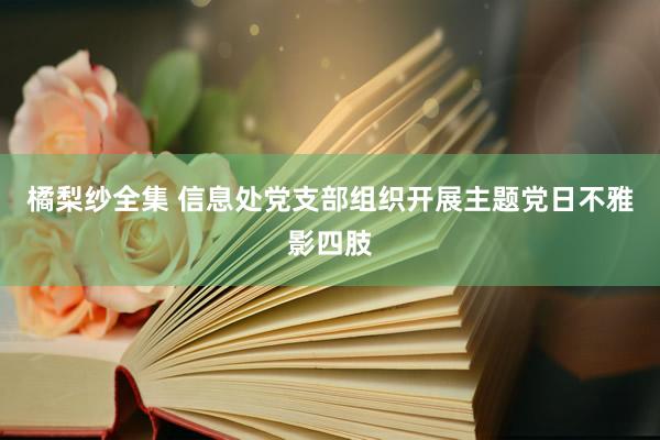 橘梨纱全集 信息处党支部组织开展主题党日不雅影四肢