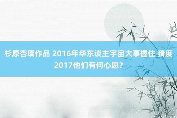 杉原杏璃作品 2016年华东谈主宇宙大事握住 猜度2017他们有何心愿？