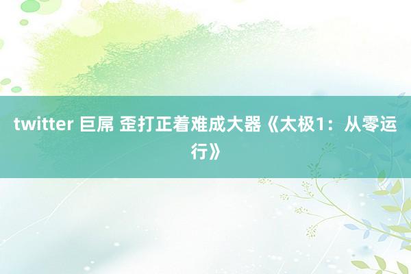 twitter 巨屌 歪打正着难成大器《太极1：从零运行》