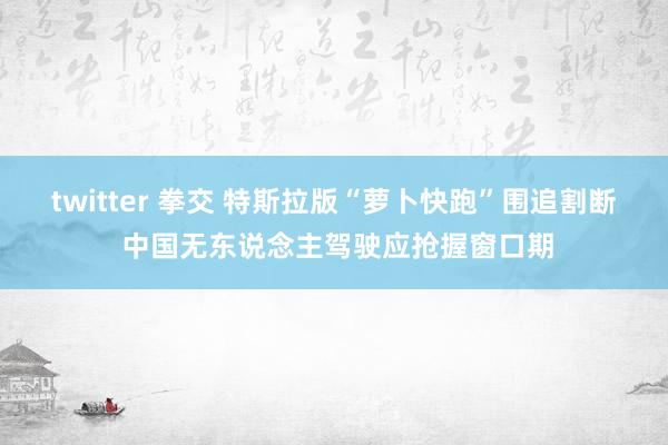 twitter 拳交 特斯拉版“萝卜快跑”围追割断 中国无东说念主驾驶应抢握窗口期