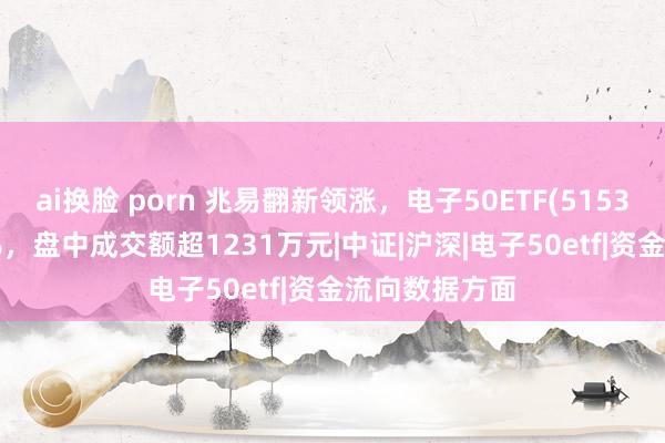 ai换脸 porn 兆易翻新领涨，电子50ETF(515320)高涨1.5%，盘中成交额超1231万元|中证|沪深|电子50etf|资金流向数据方面