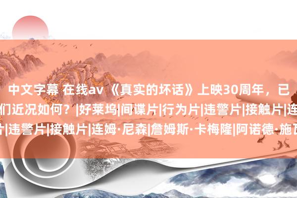 中文字幕 在线av 《真实的坏话》上映30周年，已有两位演员归天，主演们近况如何？|好莱坞|间谍片|行为片|违警片|接触片|连姆·尼森|詹姆斯·卡梅隆|阿诺德·施瓦辛格