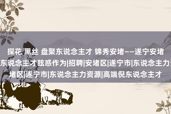 探花 黑丝 盘聚东说念主才 锦秀安堵——遂宁安堵赴四川轻化工大学开展东说念主才眩惑作为|招聘|安堵区|遂宁市|东说念主力资源|高端倪东说念主才